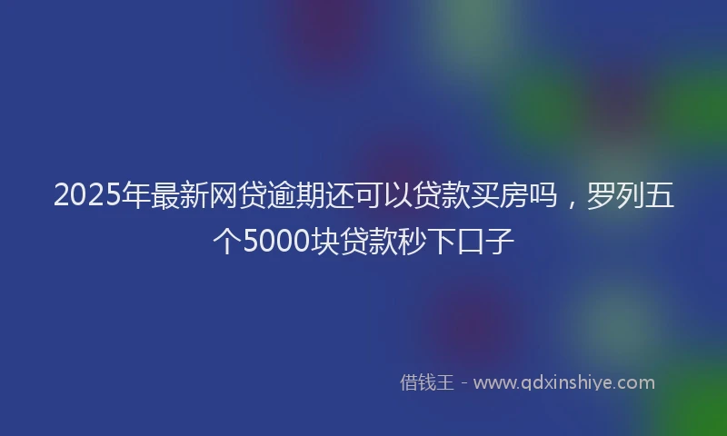 2025年最新网贷逾期还可以贷款买房吗，罗列五个5000块贷款秒下口子