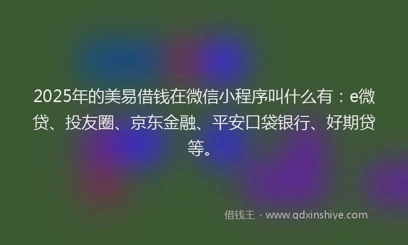 2025年的美易借钱在微信小程序叫什么有：e微贷、投友圈、京东金融、平安口袋银行、好期贷等。