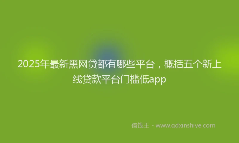 2025年最新黑网贷都有哪些平台，概括五个新上线贷款平台门槛低app
