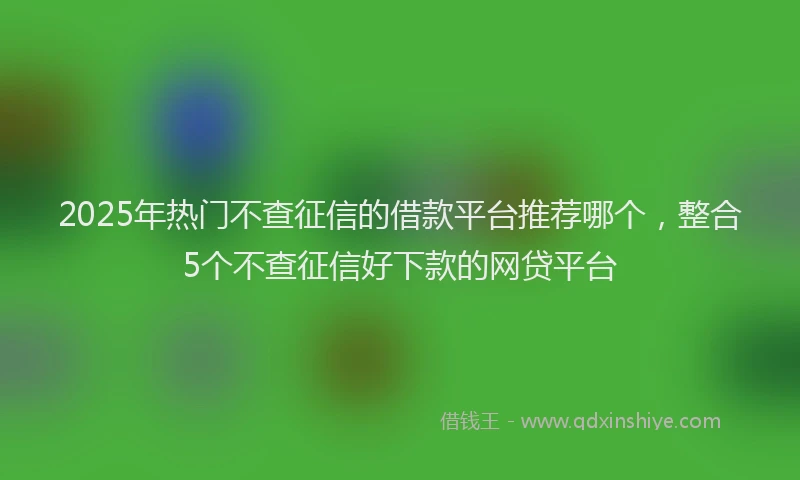 2025年热门不查征信的借款平台推荐哪个，整合5个不查征信好下款的网贷平台