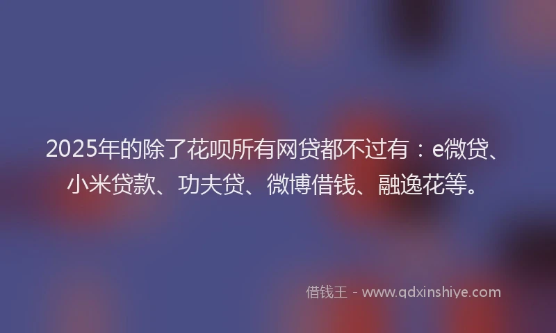 2025年的除了花呗所有网贷都不过有：e微贷、小米贷款、功夫贷、微博借钱、融逸花等。