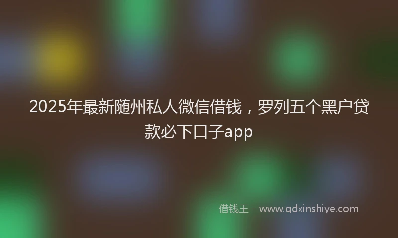 2025年最新随州私人微信借钱，罗列五个黑户贷款必下口子app