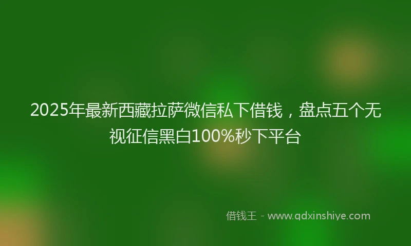 2025年最新西藏拉萨微信私下借钱，盘点五个无视征信黑白100%秒下平台