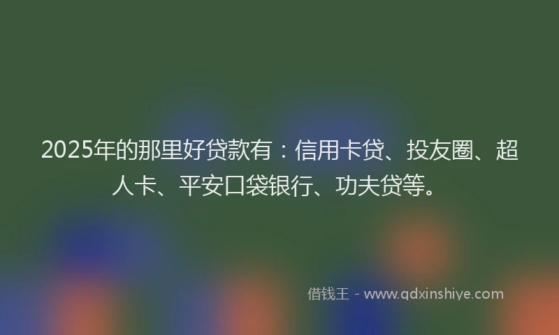 2025年的那里好贷款有：信用卡贷、投友圈、超人卡、平安口袋银行、功夫贷等。