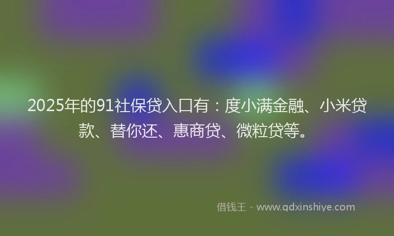 2025年的91社保贷入口有：度小满金融、小米贷款、替你还、惠商贷、微粒贷等。