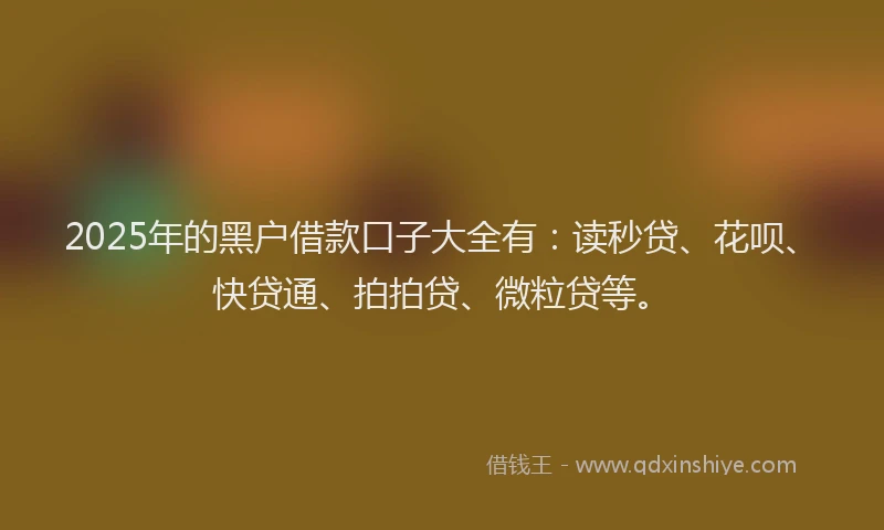 2025年的黑户借款口子大全有：读秒贷、花呗、快贷通、拍拍贷、微粒贷等。