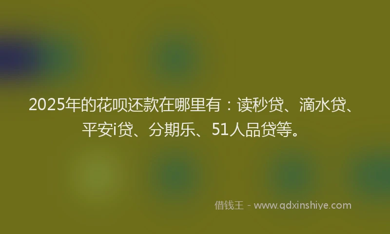 2025年的花呗还款在哪里有：读秒贷、滴水贷、平安i贷、分期乐、51人品贷等。