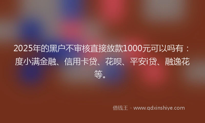 2025年的黑户不审核直接放款1000元可以吗有：度小满金融、信用卡贷、花呗、平安i贷、融逸花等。