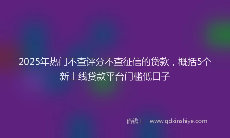 2025年热门不查评分不查征信的贷款，概括5个新上线贷款平台门槛低口子