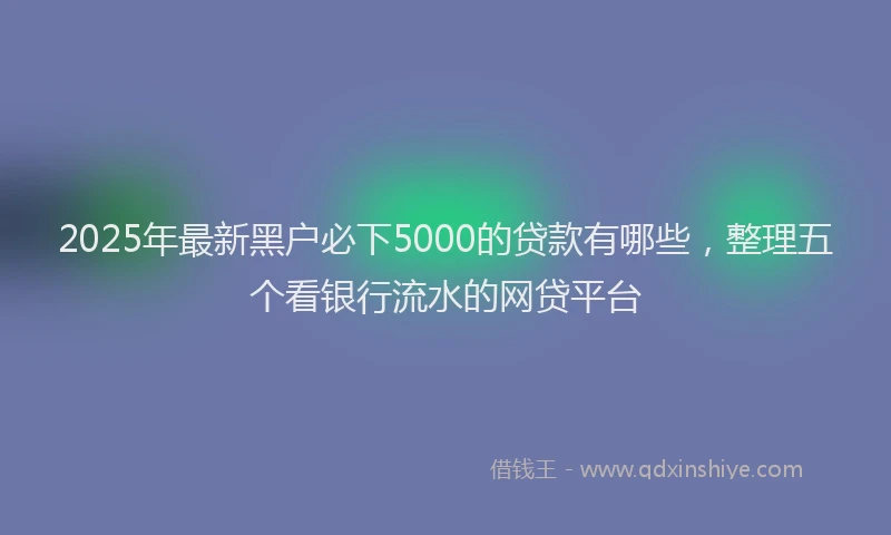 2025年最新黑户必下5000的贷款有哪些，整理五个看银行流水的网贷平台