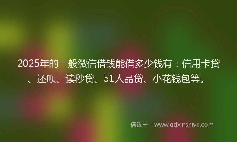 2025年的一般微信借钱能借多少钱有：信用卡贷、还呗、读秒贷、51人品贷、小花钱包等。