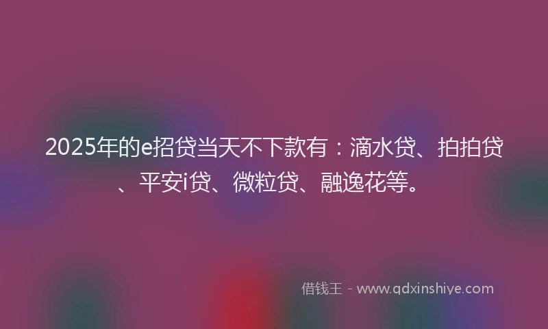 2025年的e招贷当天不下款有：滴水贷、拍拍贷、平安i贷、微粒贷、融逸花等。