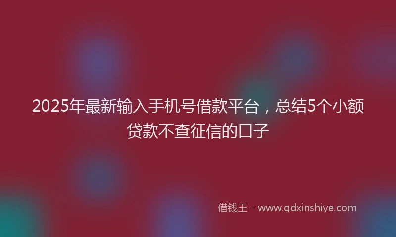 2025年最新输入手机号借款平台，总结5个小额贷款不查征信的口子