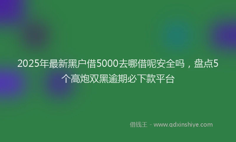 2025年最新黑户借5000去哪借呢安全吗，盘点5个高炮双黑逾期必下款平台
