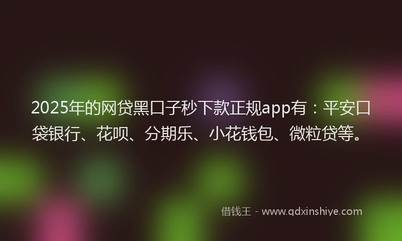 2025年的网贷黑口子秒下款正规app有：平安口袋银行、花呗、分期乐、小花钱包、微粒贷等。