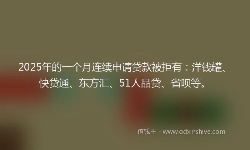 2025年的一个月连续申请贷款被拒有：洋钱罐、快贷通、东方汇、51人品贷、省呗等。