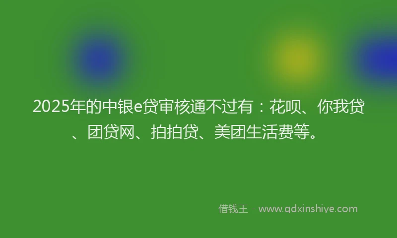 2025年的中银e贷审核通不过有：花呗、你我贷、团贷网、拍拍贷、美团生活费等。
