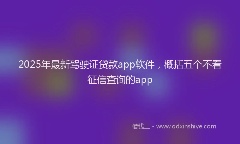 2025年最新驾驶证贷款app软件，概括五个不看征信查询的app
