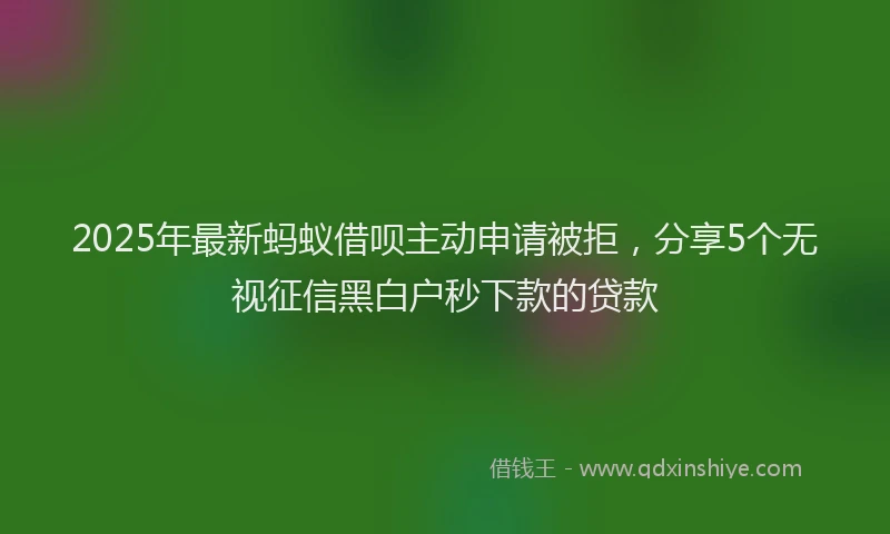 2025年最新蚂蚁借呗主动申请被拒，分享5个无视征信黑白户秒下款的贷款