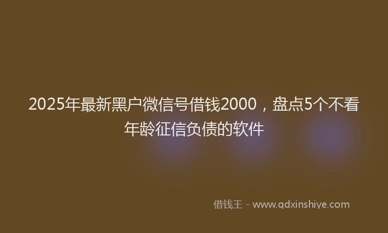 2025年最新黑户微信号借钱2000，盘点5个不看年龄征信负债的软件