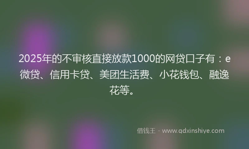 2025年的不审核直接放款1000的网贷口子有：e微贷、信用卡贷、美团生活费、小花钱包、融逸花等。