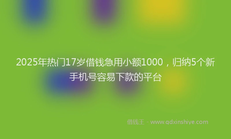 2025年热门17岁借钱急用小额1000，归纳5个新手机号容易下款的平台