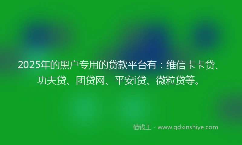 2025年的黑户专用的贷款平台有：维信卡卡贷、功夫贷、团贷网、平安i贷、微粒贷等。