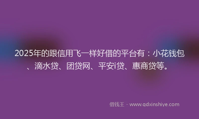 2025年的跟信用飞一样好借的平台有：小花钱包、滴水贷、团贷网、平安i贷、惠商贷等。