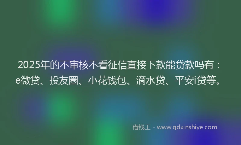 2025年的不审核不看征信直接下款能贷款吗有:e微贷、投友圈、小花钱包、滴水贷、平安i贷等。