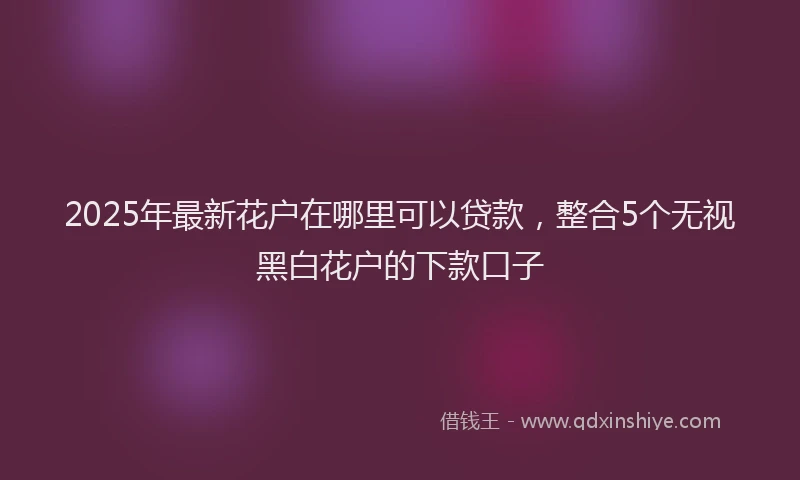 2025年最新花户在哪里可以贷款，整合5个无视黑白花户的下款口子