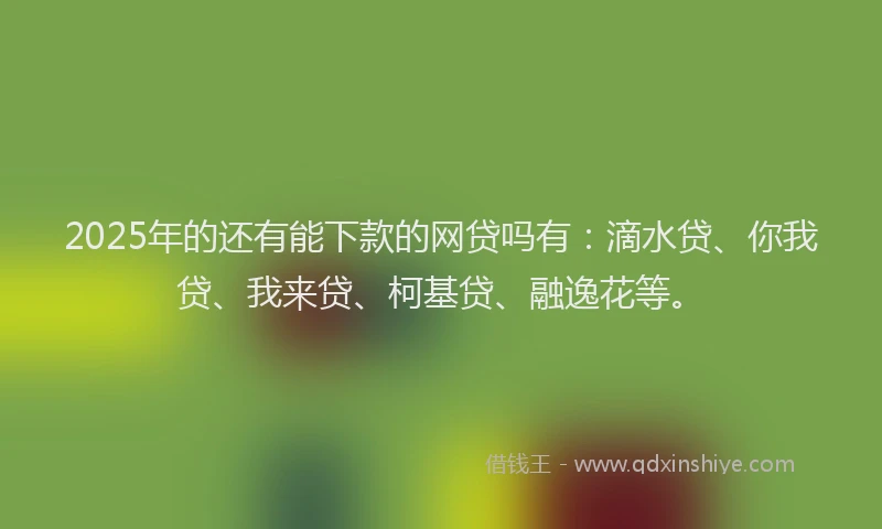 2025年的还有能下款的网贷吗有：滴水贷、你我贷、我来贷、柯基贷、融逸花等。