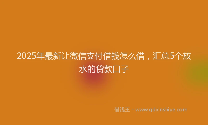 2025年最新让微信支付借钱怎么借，汇总5个放水的贷款口子