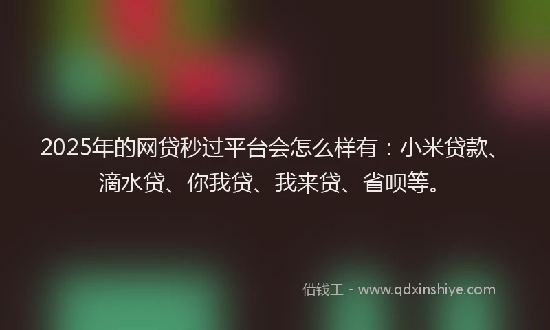 2025年的网贷秒过平台会怎么样有：小米贷款、滴水贷、你我贷、我来贷、省呗等。