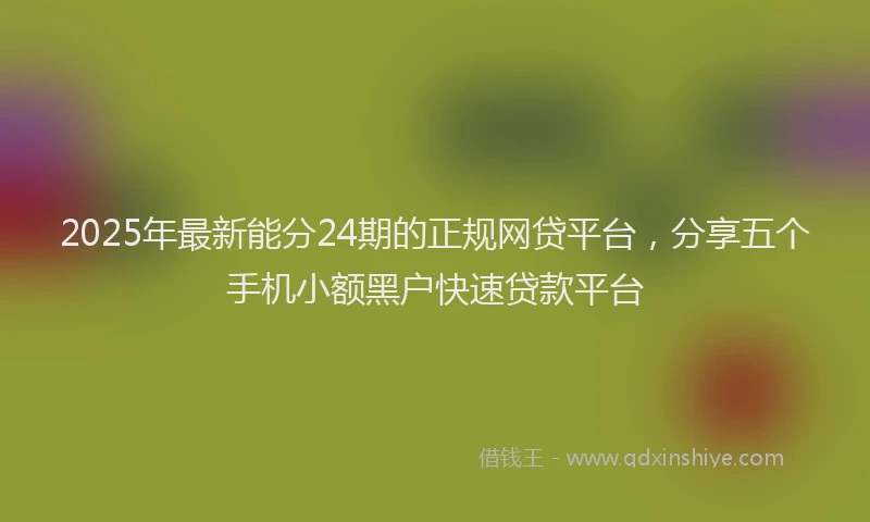 2025年最新能分24期的正规网贷平台，分享五个手机小额黑户快速贷款平台