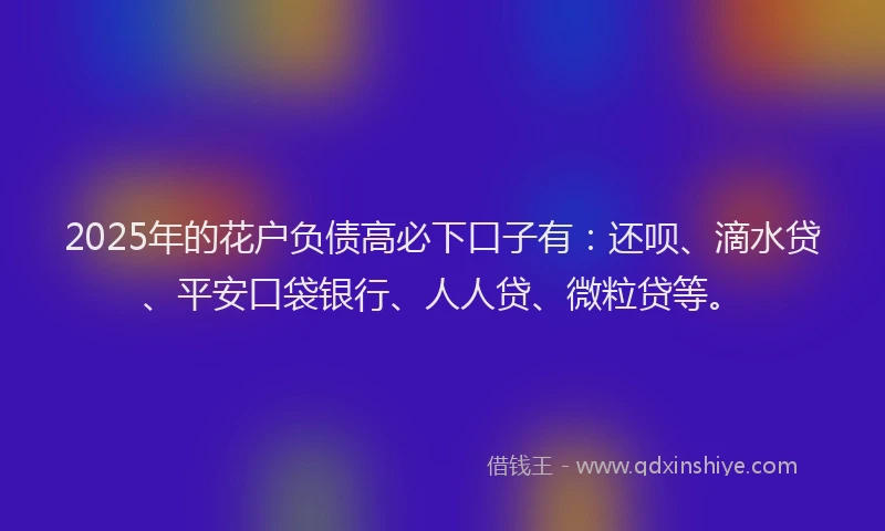 2025年的花户负债高必下口子有：还呗、滴水贷、平安口袋银行、人人贷、微粒贷等。