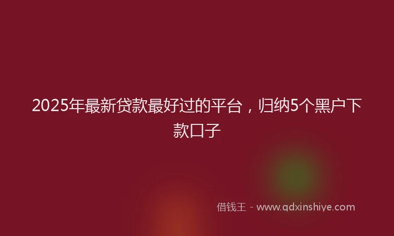 2025年最新贷款最好过的平台，归纳5个黑户下款口子
