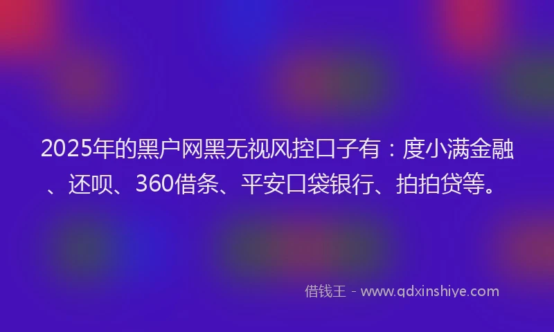 2025年的黑户网黑无视风控口子有：度小满金融、还呗、360借条、平安口袋银行、拍拍贷等。