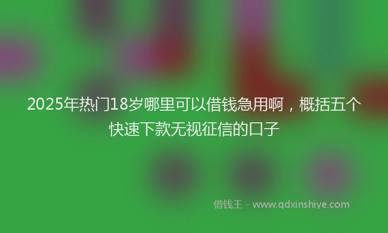 2025年热门18岁哪里可以借钱急用啊，概括五个快速下款无视征信的口子