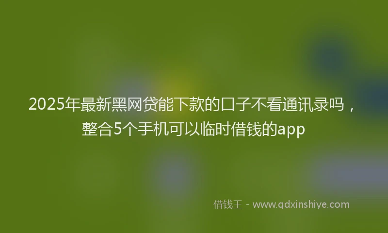 2025年最新黑网贷能下款的口子不看通讯录吗，整合5个手机可以临时借钱的app