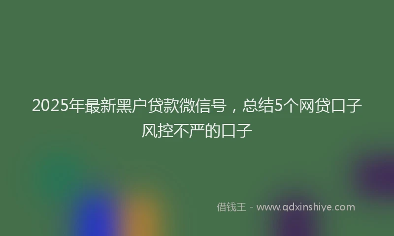 2025年最新黑户贷款微信号，总结5个网贷口子风控不严的口子