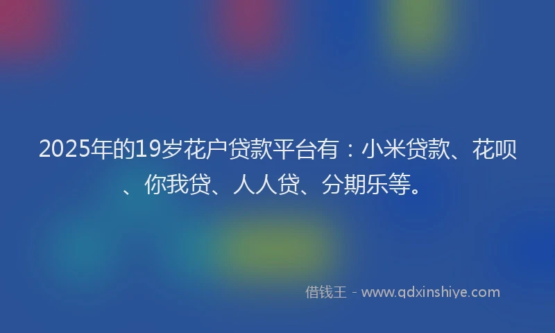 2025年的19岁花户贷款平台有：小米贷款、花呗、你我贷、人人贷、分期乐等。