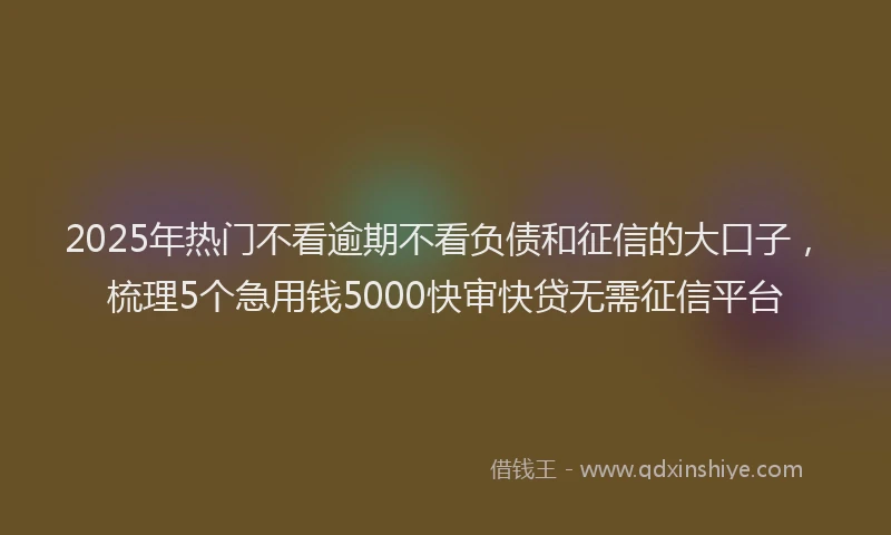 2025年热门不看逾期不看负债和征信的大口子，梳理5个急用钱5000快审快贷无需征信平台