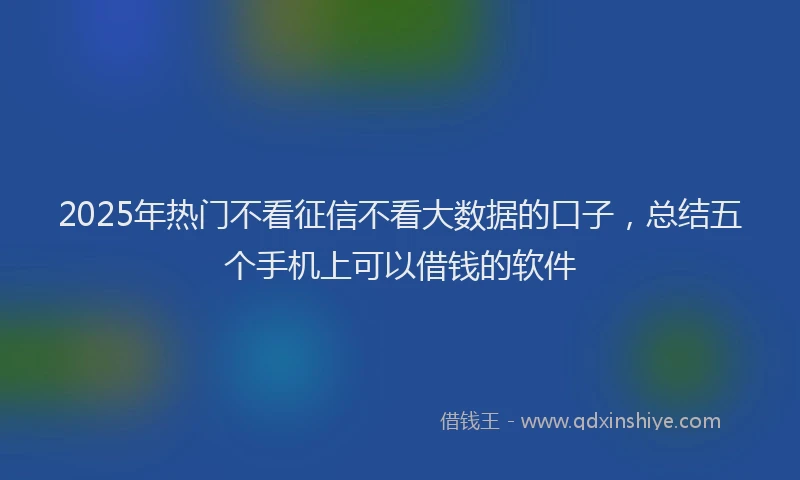 2025年热门不看征信不看大数据的口子，总结五个手机上可以借钱的软件