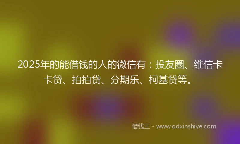 2025年的能借钱的人的微信有：投友圈、维信卡卡贷、拍拍贷、分期乐、柯基贷等。