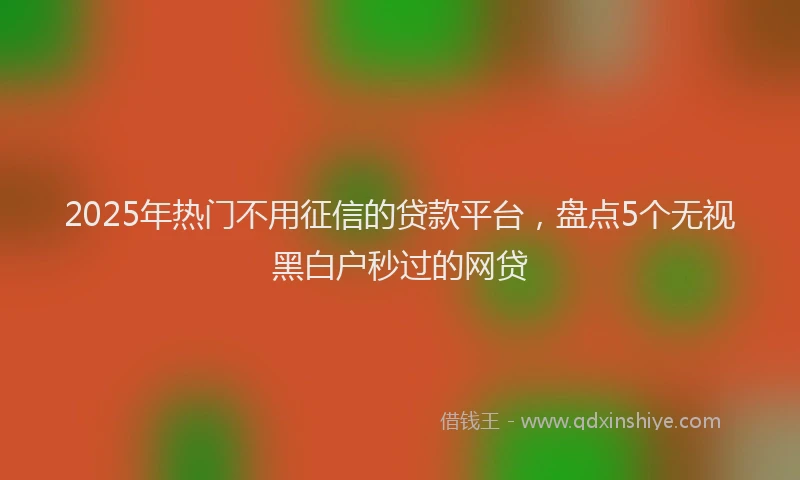2025年热门不用征信的贷款平台，盘点5个无视黑白户秒过的网贷