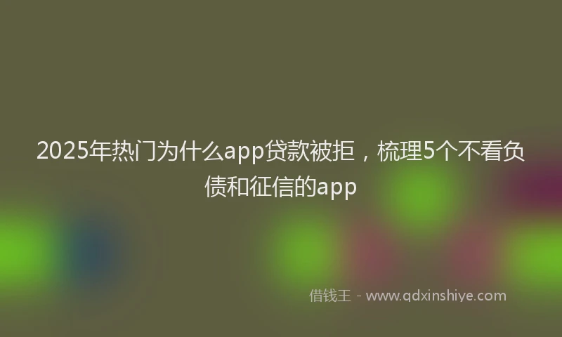 2025年热门为什么app贷款被拒，梳理5个不看负债和征信的app