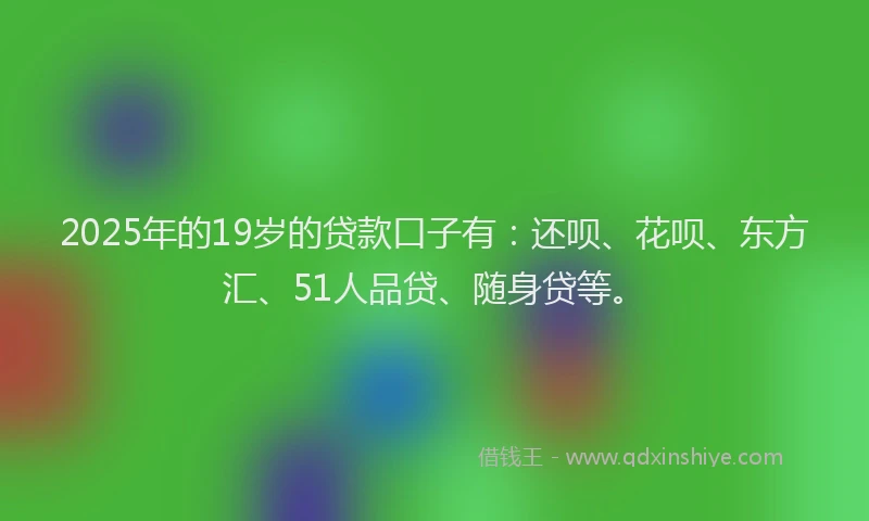 2025年的19岁的贷款口子有：还呗、花呗、东方汇、51人品贷、随身贷等。