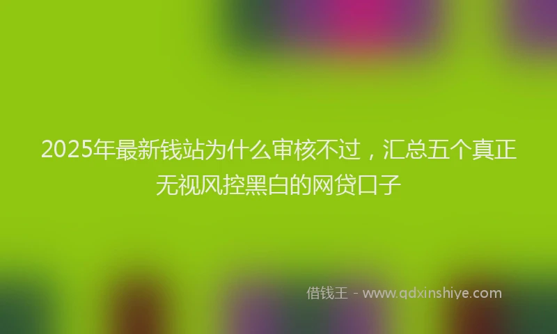 2025年最新钱站为什么审核不过，汇总五个真正无视风控黑白的网贷口子