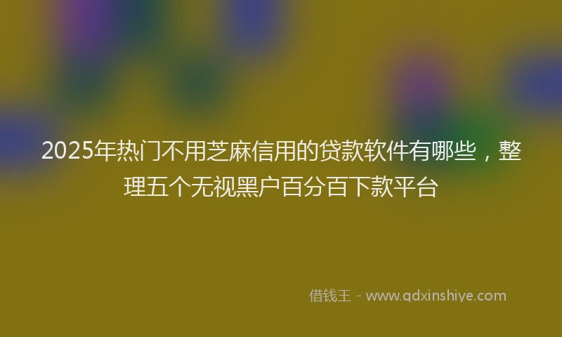 2025年热门不用芝麻信用的贷款软件有哪些，整理五个无视黑户百分百下款平台