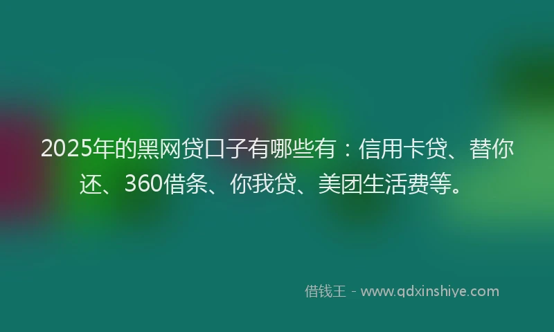 2025年的黑网贷口子有哪些有：信用卡贷、替你还、360借条、你我贷、美团生活费等。